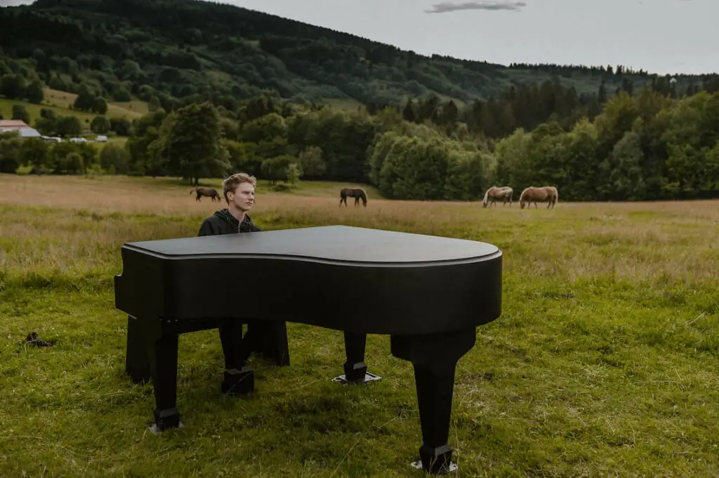 homme jouant du piano en extérieur au milieu d'un champs